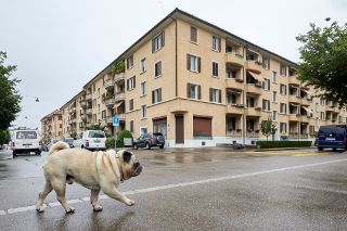 Aber was macht Zürich?